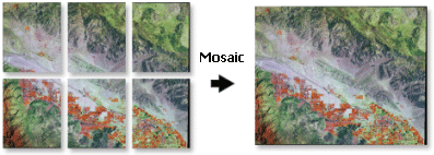 Images mosaicked together Images mosaicked together