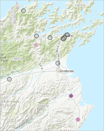 Summarized invasive plants within campground boundaries